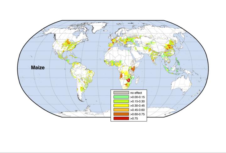 Climate and Yield Variability