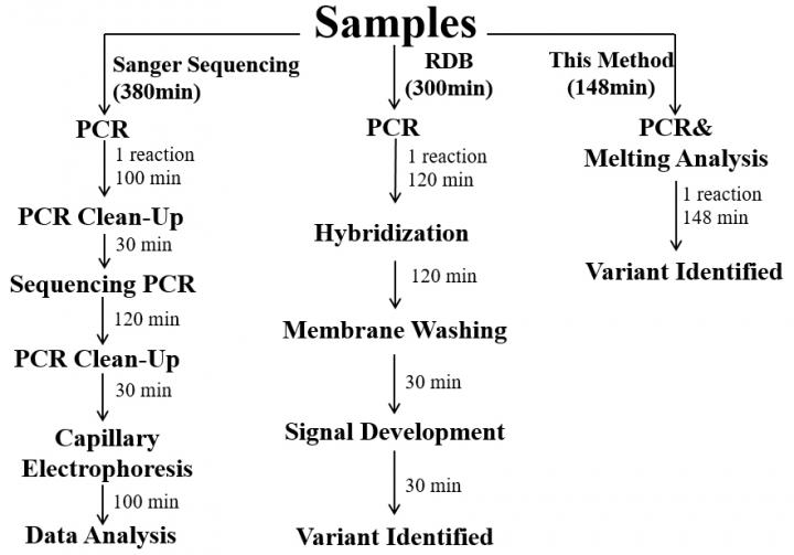 New Streamlined Assay Can Improve Prenatal Detection of Alpha-Thalassemia