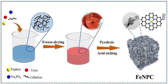 Schematic illustration of the preparation of the FeNPC catalyst