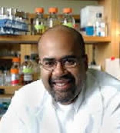 Paul Turner, Yale University