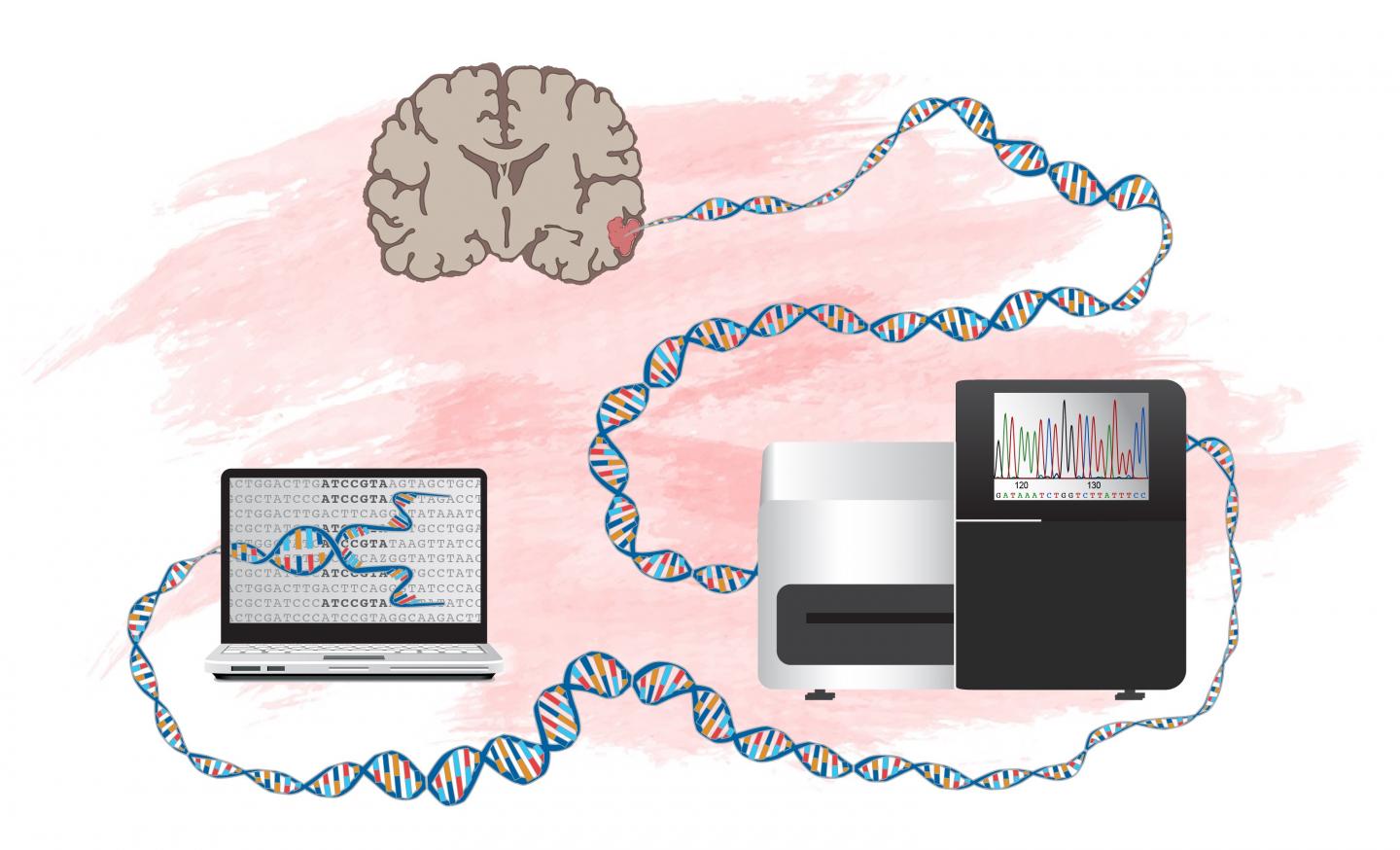 How to Identify Genes that Can Drive Development of Brain Tumors