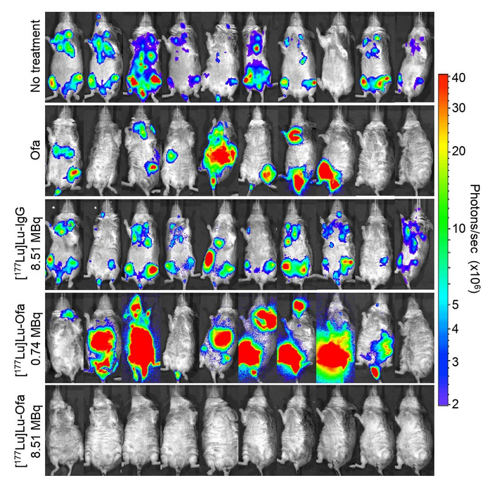 New nuclear medicine therapy cures human non