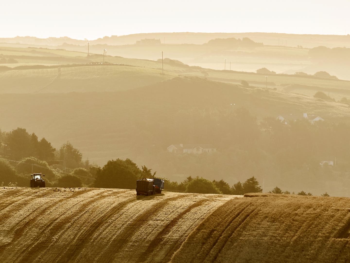 Crop fields