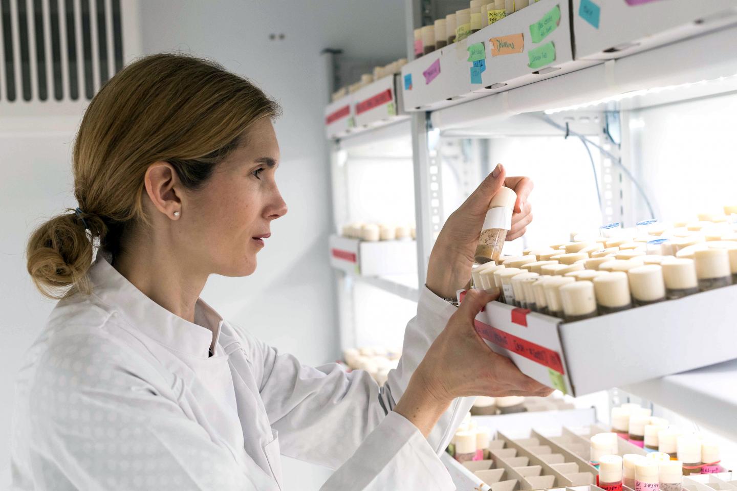 Professor Ilona C. Grunwald Kadow, Technical University of Munich (TUM)