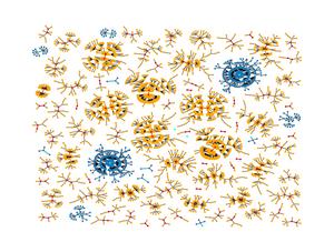 The configuration space of a 3-regular graph with 12 nodes.