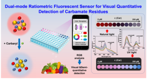 New Dual Mode Ratio Fluorescence Sensing System Enables Rapid In Situ Detection of Carbaryl Residues