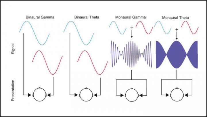 Binaural Beats Synchronize Brain Activity, Don't Affect Mood