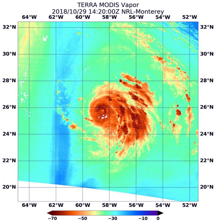 Terra Image of Oscar (1 of 2)