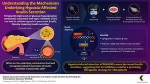 Mechanisms underlying hyperglycemia-impaired insulin secretion in type 2 diabetes