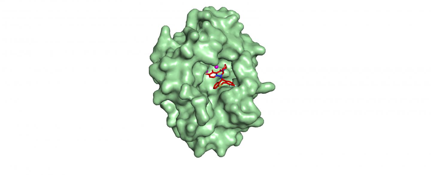 Baloxavir Acid Interacting with the Active Site of Influenza A