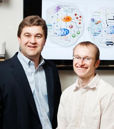 Barry Pittendrigh and Kent Walters, University of Illinois at Urbana-Champaign