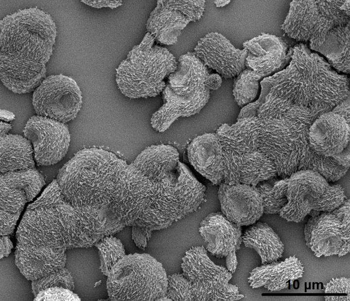 Biomimetic Mineral Self-Organization from Silica-Rich Spring Waters (7 of 9)