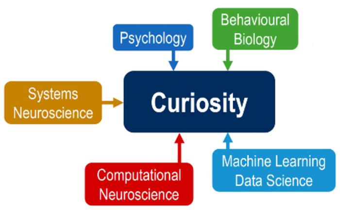 The different disciplines contributing to the new Curiosity RTG at Göttingen University's Faculty of Biology and Psychology