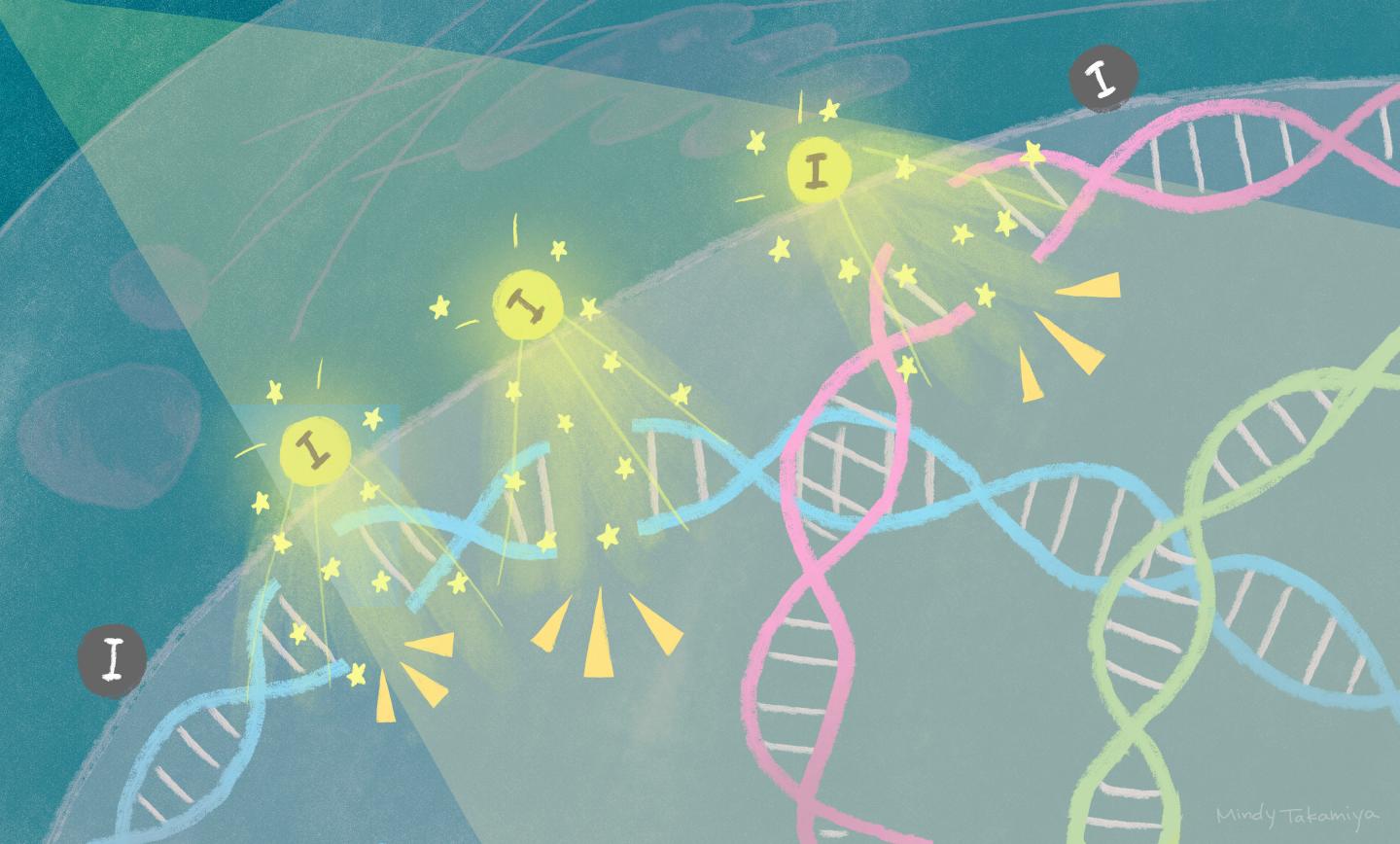 Cancer to Be Treated as Easily as Common Cold When Humans Crack Quantum  Computing