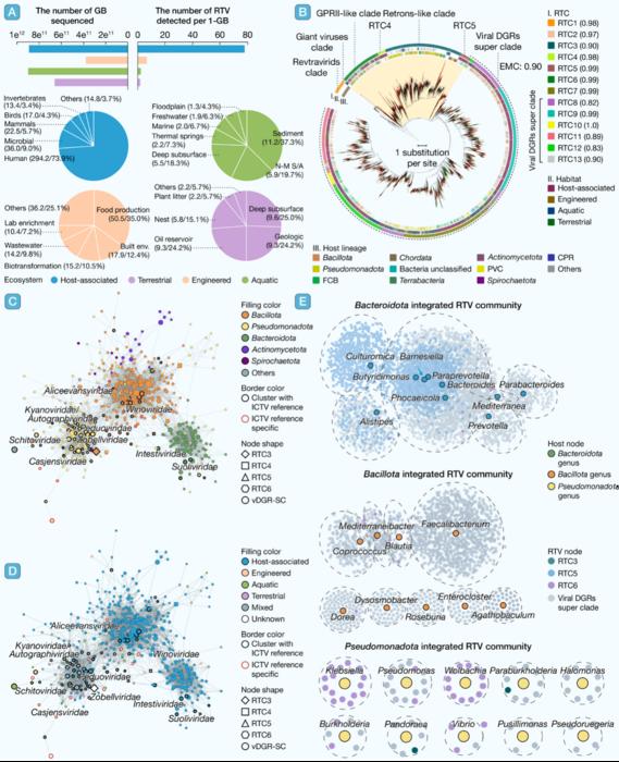 The habitat diversity, phylogenetic expansion, genome similarity network, and endogenization network of reverse-transcriptase-containing viruses (RTVs)