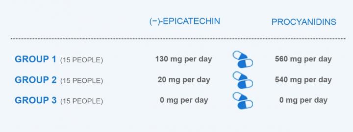 Novel Insights into the Heart Health Benefits of Cocoa Flavanols and Procyanidins