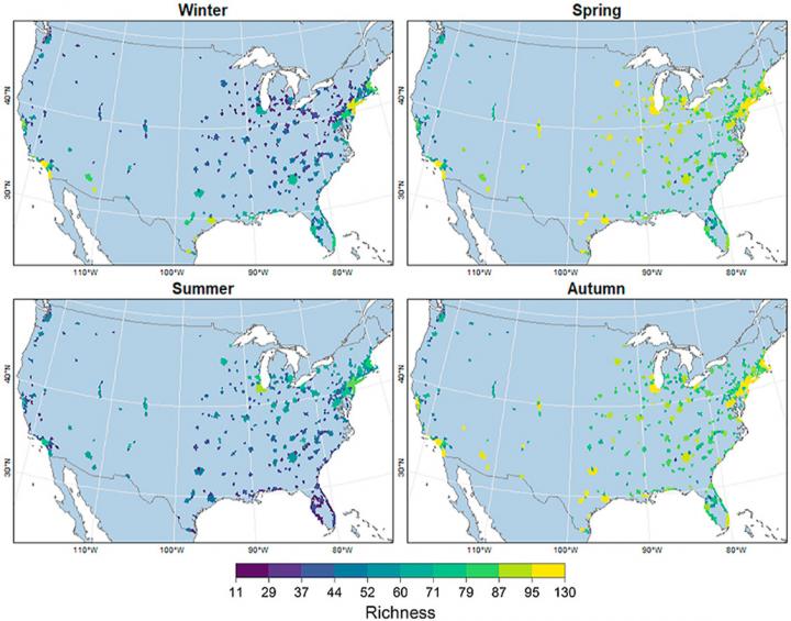 Seasonal Species Richness Maps