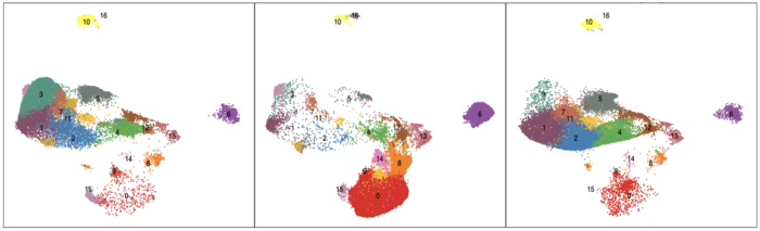 Single cell sequencing in lungs