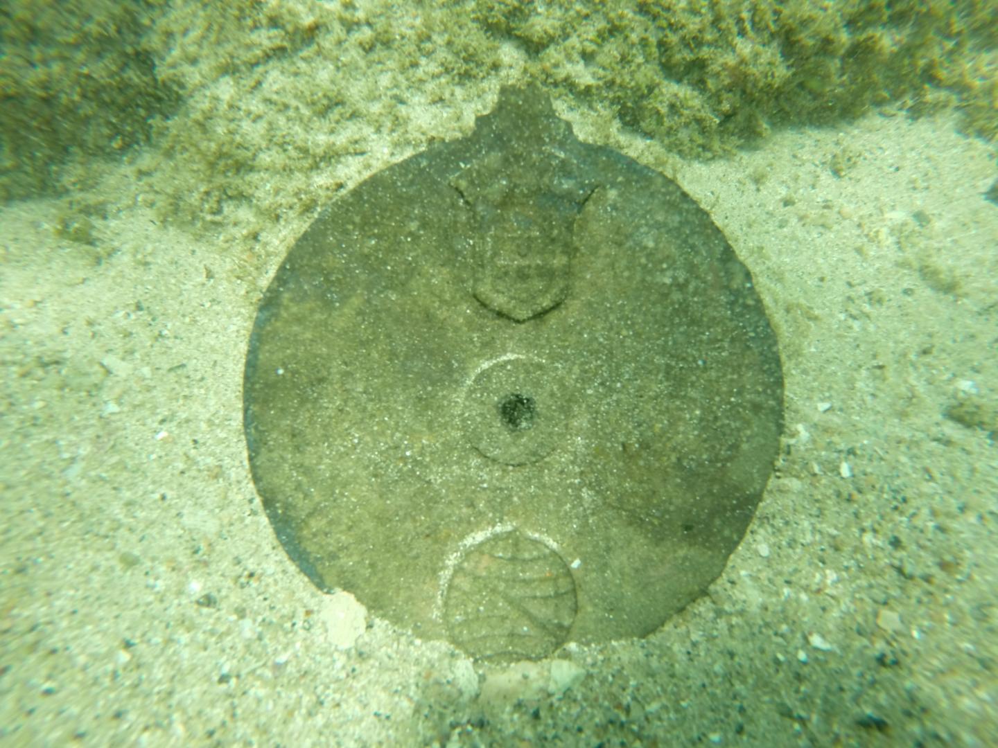 Astrolabe in Situ