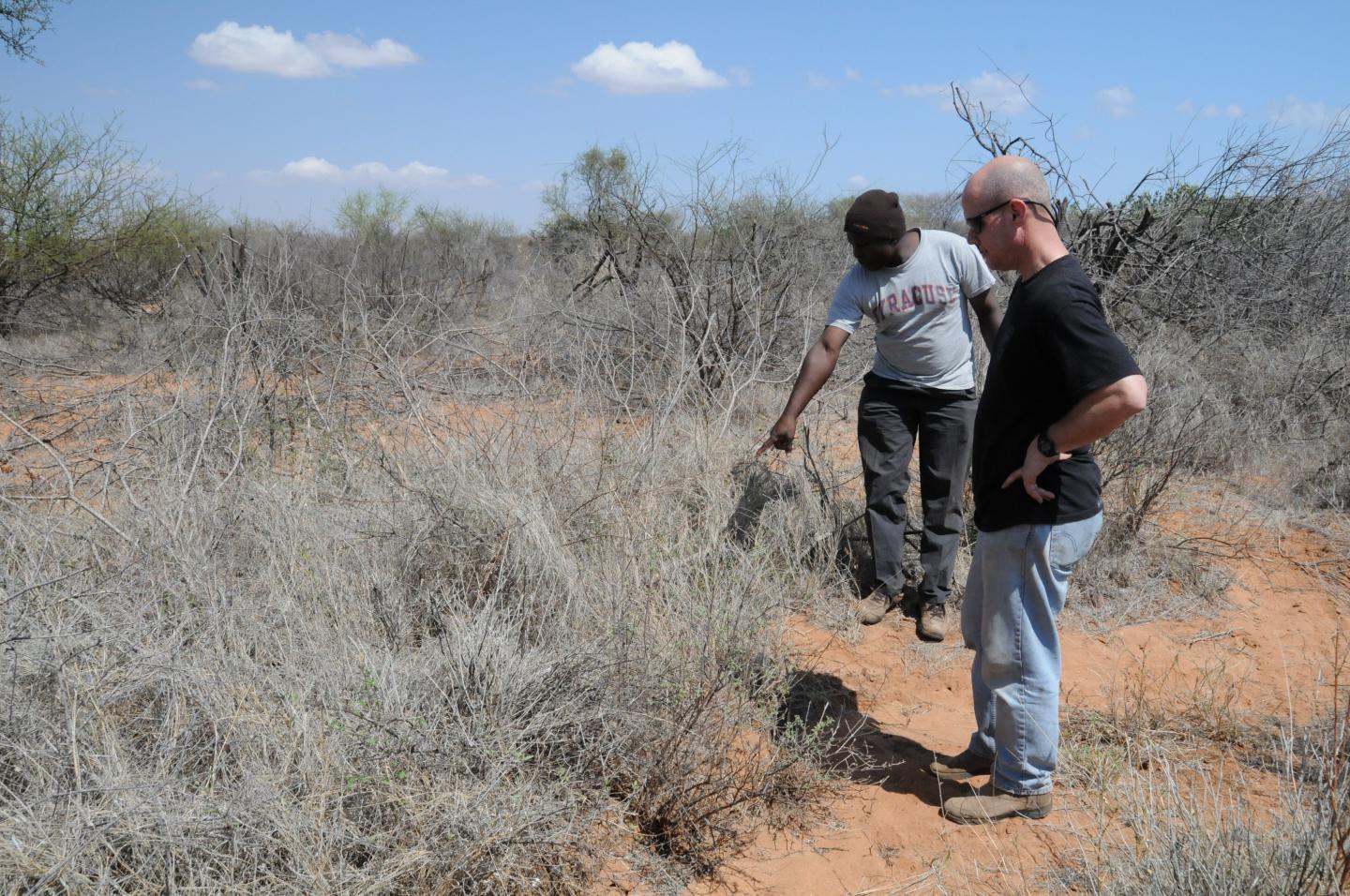 Syracuse UniversityPprofessor at Serengeti National Park