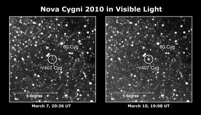 Nova Cygni 2010 in Visible Light