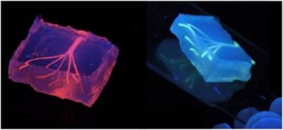 Artificial Blood Vessels