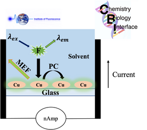 Harnessing Plant Molecules to Harvest Solar Energy