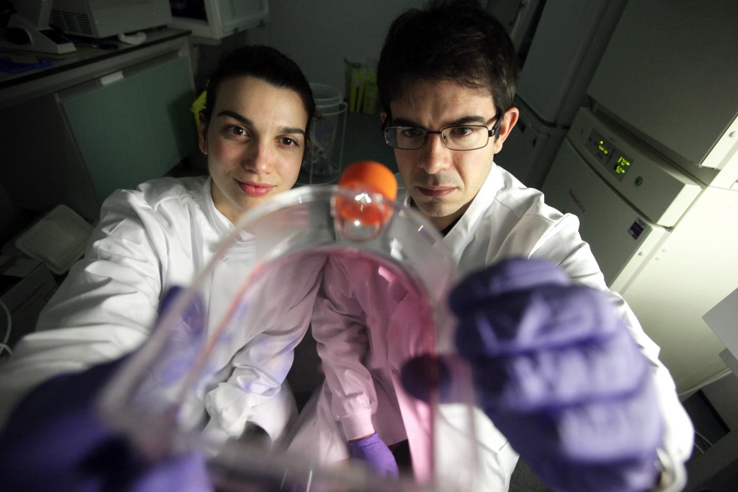 Joao Passos and Clara Correia-Melo, Newcastle University