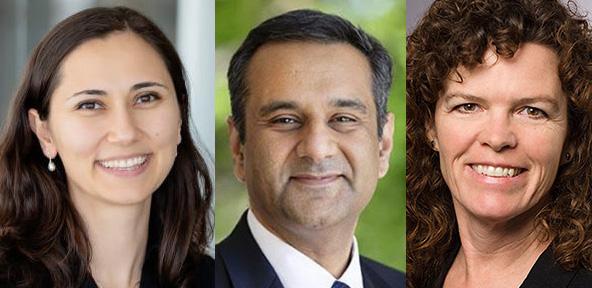 Zeynep Madak-Erdogan, Rohit Bhargava, and Colleen Bushell