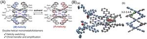 (A) Structure of double-helical mononmetallofoldamers with a zinc cation and (B) X-ray structure: (a) front view and (b) side view