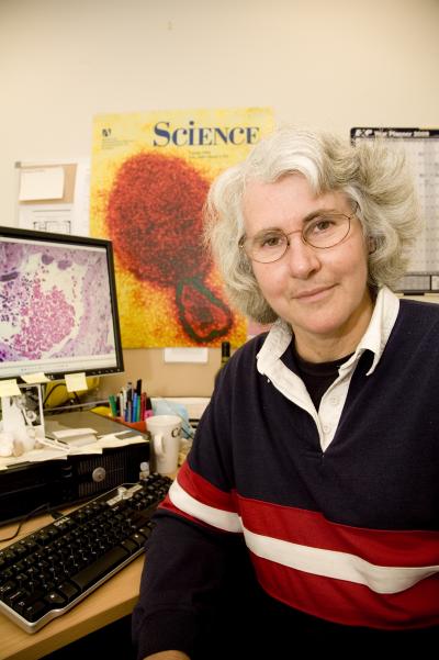 Dr. Deborah Middleton, CSIRO Australia