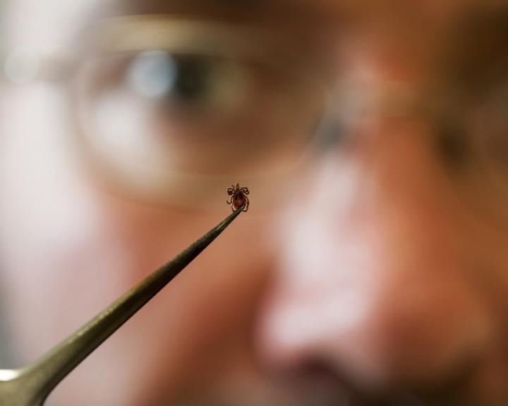 Stephen Rich, University of Massachusetts at Amherst 