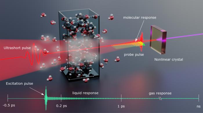 Femtosecond-fieldoscopy accesses molecules fingerprints at near-infrared spectral range