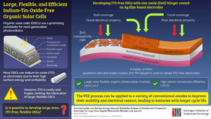 Large, Flexible, and Efficient Indium-Tin-Oxide Free Organic Solar Cells