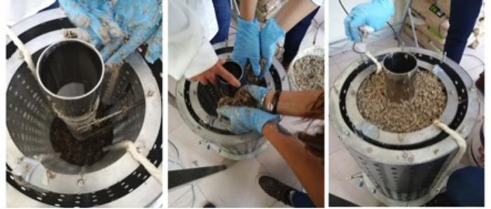 Microbial community present in the radial-flow biopurification prototype