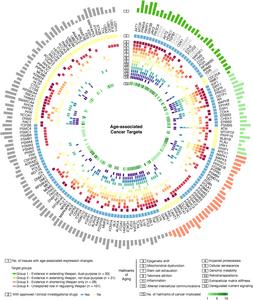 Age-Associated Cancer Targets and Dual-Purpose Targets