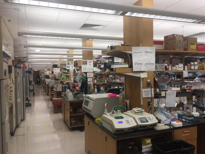 Elledge Lab Empty