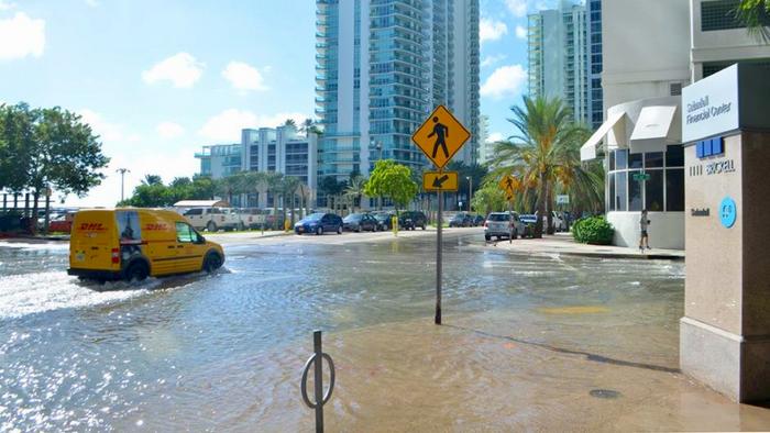 $1.5 Million NSF Award Addresses Inequities in Flood Adaptation in South Florida
