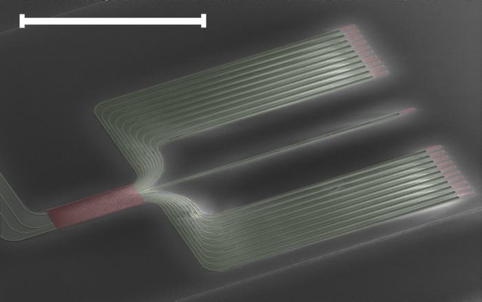 The SEM image of quasiperiodic mosaic lattice