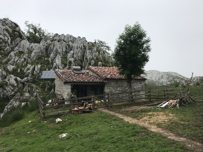 Traditional artisanal cheese factory