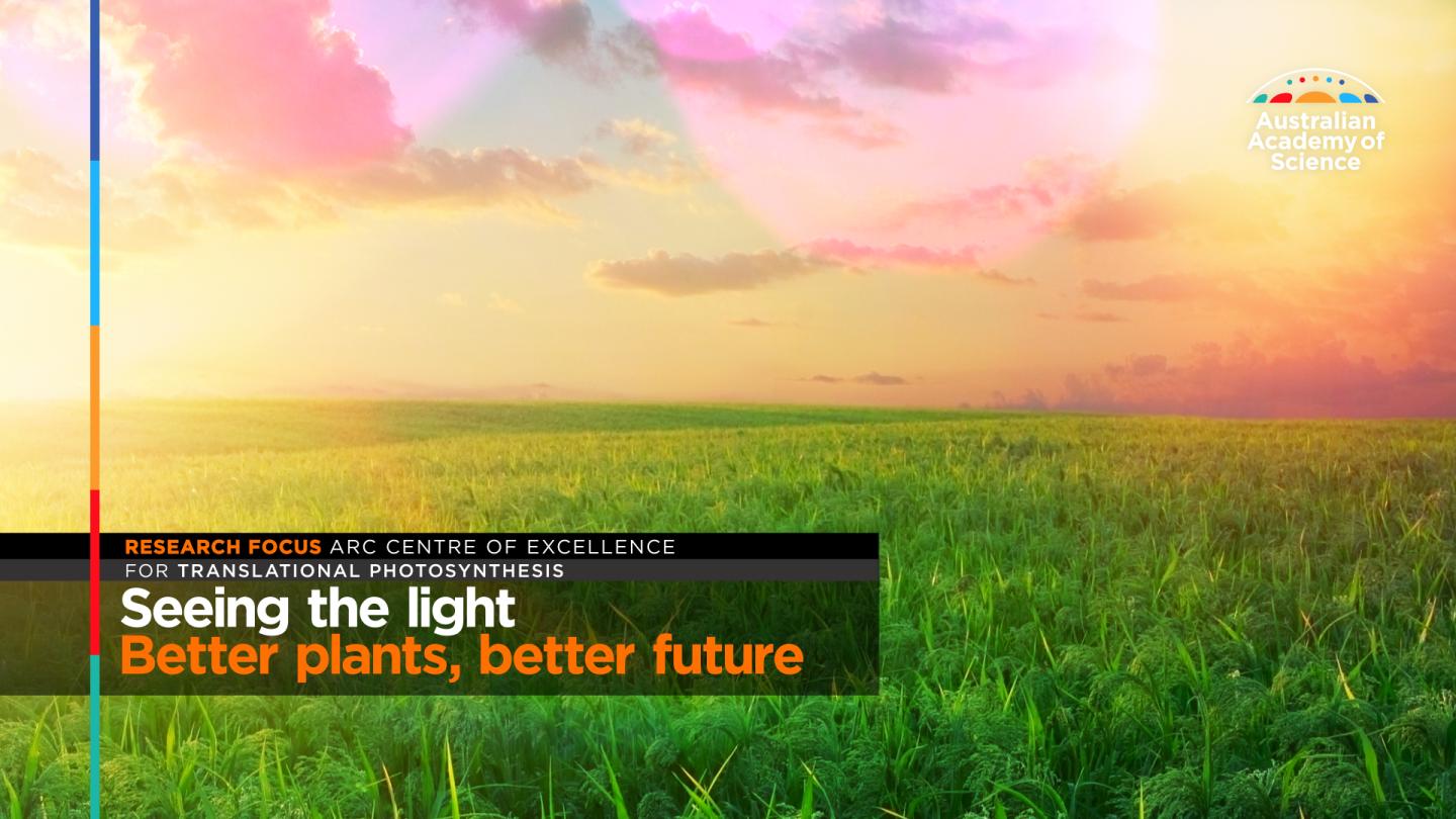 Seeing the light: better crops, better future