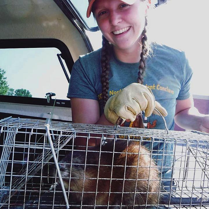 Muskrat Caged