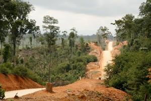 Road with Brown/orange Bare Earth either Side and Trees
