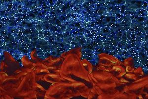 Nothing is everything: How hidden emptiness c - Vimarsana News