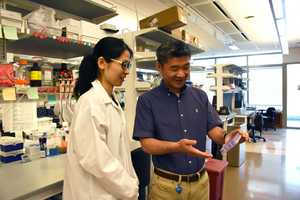 Drs. Xue Hao and Rugang Zhang of The Wistar Institute