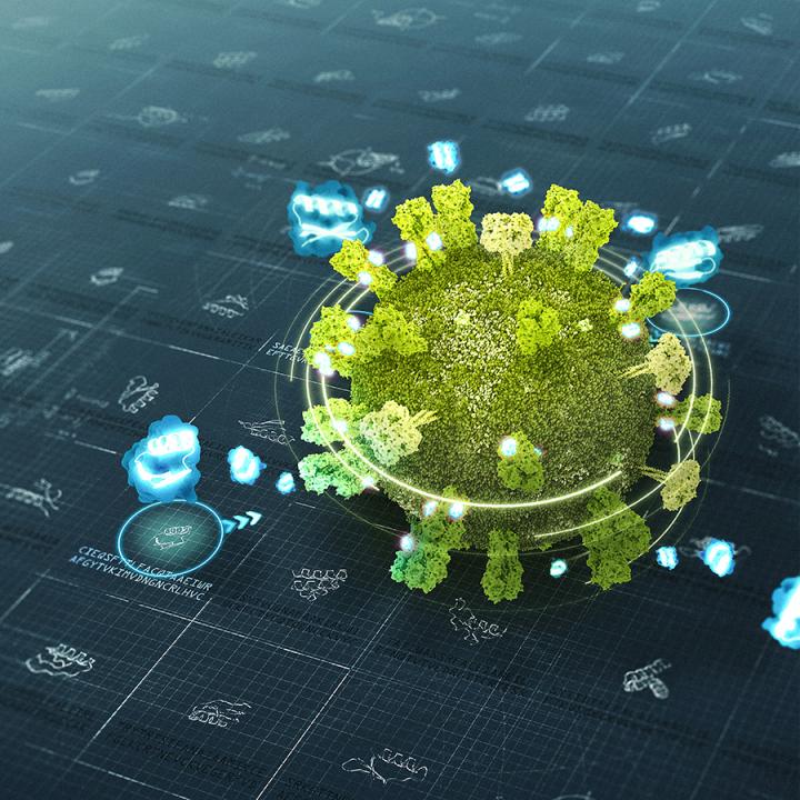 Computer Designed Mini-Protein Binders Target Flu
