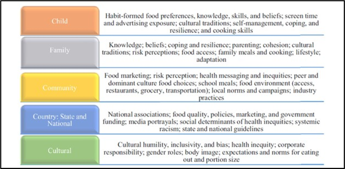 Framework for nutrition educators to identify modifiable focus areas to counter the kids’ food archetype