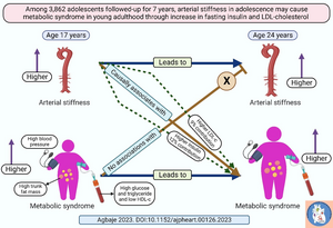 Arterial stiffness may cause metabolic syndrome in adolescents via an increase in fasting insulin and LDL cholesterol