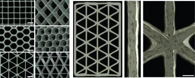 Variety of 3-D Printed Honeycomb Structures