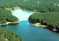Effect of Phosphorous Demonstrated by Studies at the Experimental Lakes Area, Northern Ontario